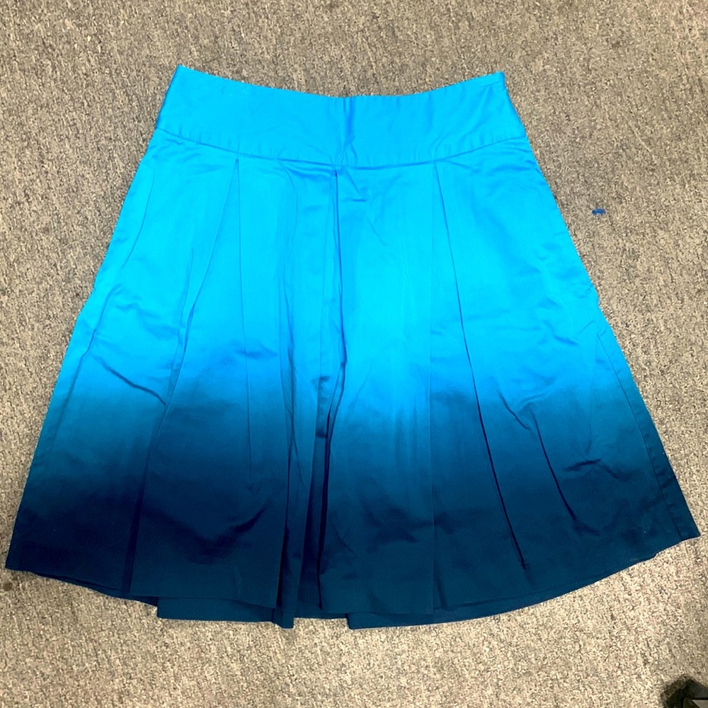 Pleated dip-dyed zip-up skirt, sz 6. GORGEOUS